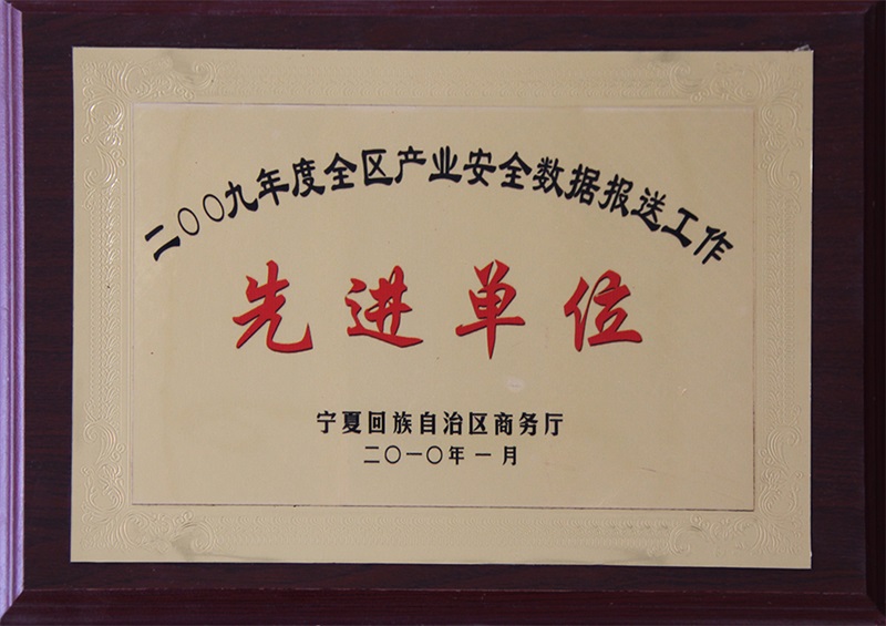 2009年度全區(qū)產(chǎn)業(yè)安全數(shù)據(jù)報送工作先進(jìn)單位